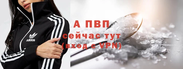 jwh Вяземский